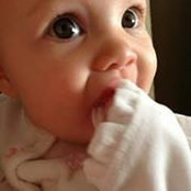 Emily Wencel's photo