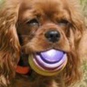 Diana Schilling's photo