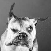 Max Voronetskiy's photo