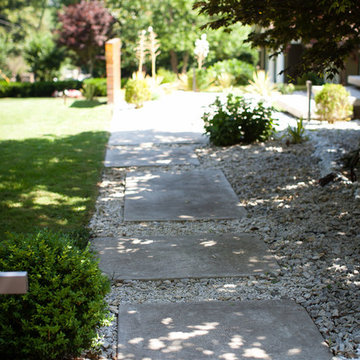 Midcentury modern landscape