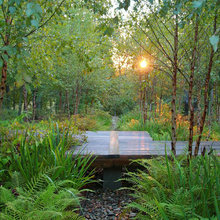 shade garden