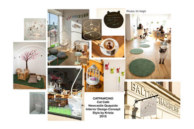 Catpawcino, cat cafe. Design concept & interior design KPW Designs