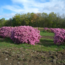 NYS Farms - Products