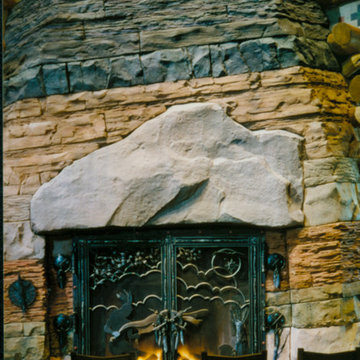 Fireplace doors/screens