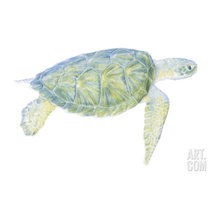 animal art