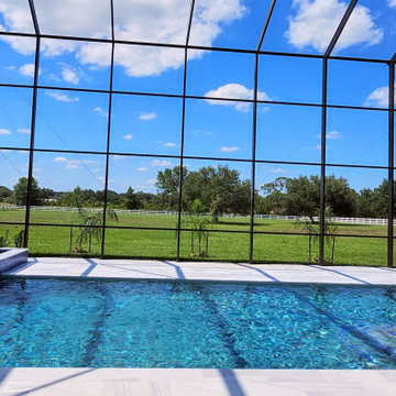 Elevated Luxury in Groveland, Florida