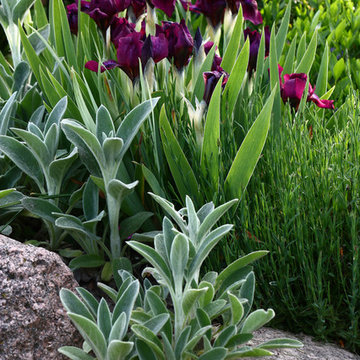 Unsere Gartenwelten...