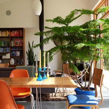 Indoor plants