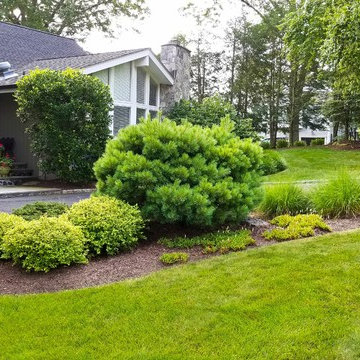 Vinyl Pool Renovation and Landscaping