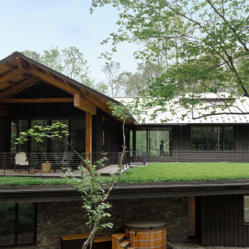 UPSIDE-DOWN FOREST RETREAT