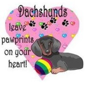 DeeDee Melton Campbell's photo