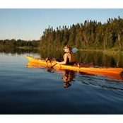 Judy Dobbin's photo