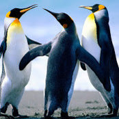 Anna Bocanegra's photo