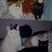 Jennene Hart's photo