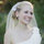 Catherine Johnson