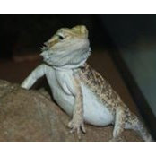 'Ellen Watson's photo