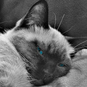 Karen K's photo