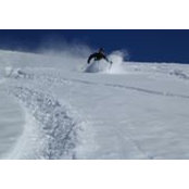 Michel Marcoux's photo