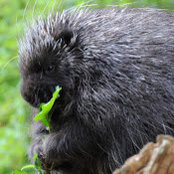 Chad Herrick's photo