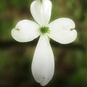 Michelle Loveday's photo