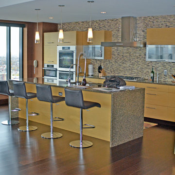 Four Seasons Residence: Denver Kitchen