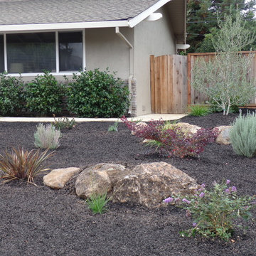 Lawn Replacement or Reduction