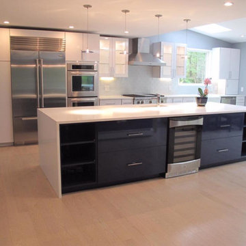 Modern Sleek Kitchen