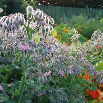 Demonstration Gardens