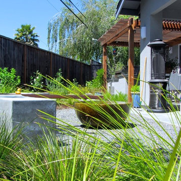 Cupertino Contemporary