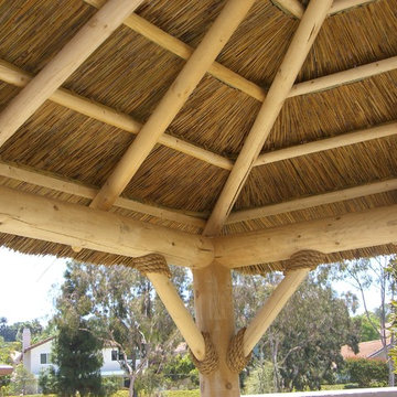 African Cape Reed Thatch