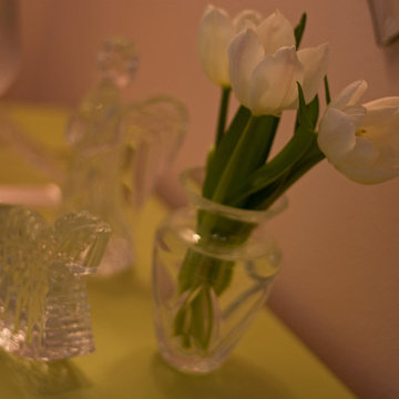 Private Residence - Henrico, VA