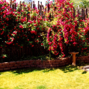 Landscape Design & Outdoor Living