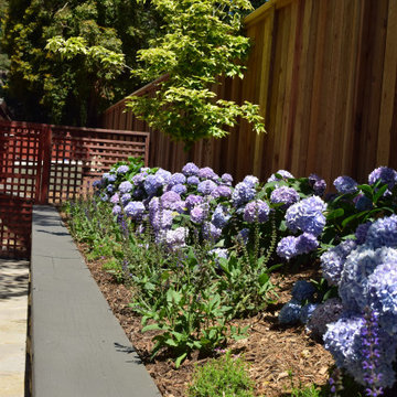 Spacious Garden with patio and lawn