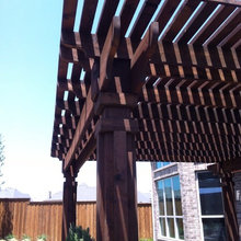 Cedar Arbor