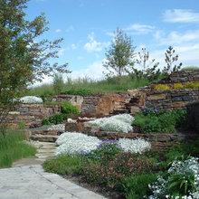 Landscape Ideas