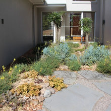 Side Garden