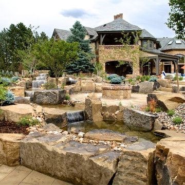 Oasis Amongst the Evergreens