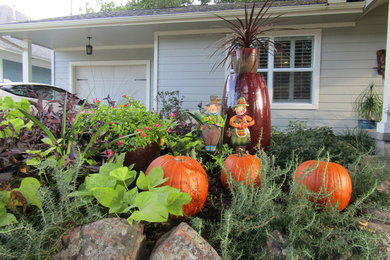 Photo of a partial sun front yard landscaping in Dallas for fall.