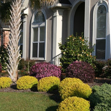 Front Landscape