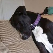 Dustin Raymond's photo