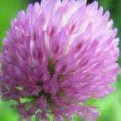 Sherri Visker's photo