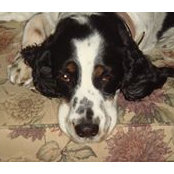 Susan Casoni's photo