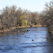 Sheila DeRuiter's photo