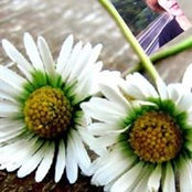 Andrea Verdross's photo