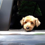 Cathy Gareri's photo