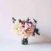 Caroline Fox's photo