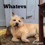 michelle park's photo