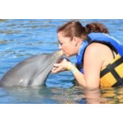 Lisa Heathman's photo