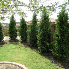 Fence