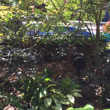 Outdoor Speakers
